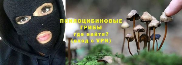 наркотики Дмитриев